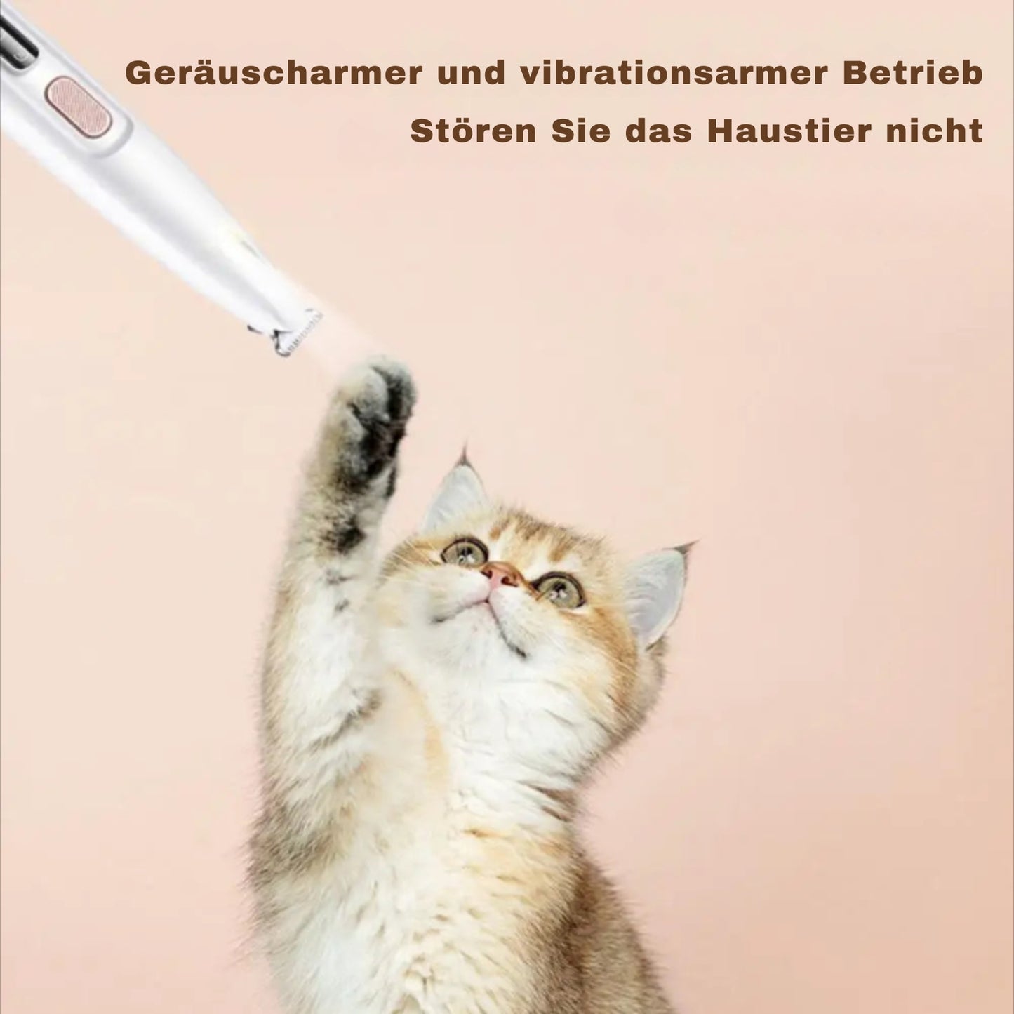Pfotenfreund® | Leise LED-Tierschermaschine