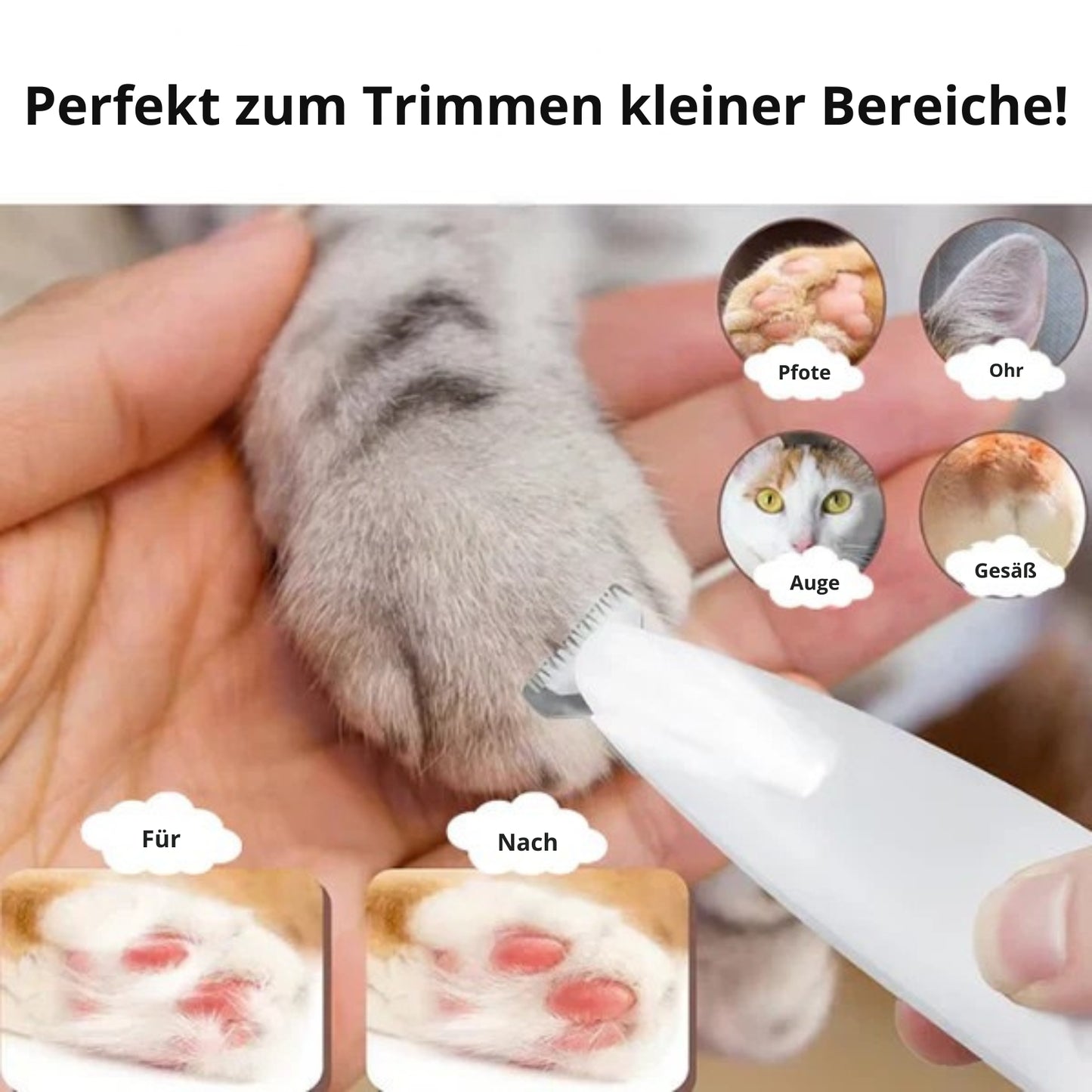 Pfotenfreund® | Leise LED-Tierschermaschine