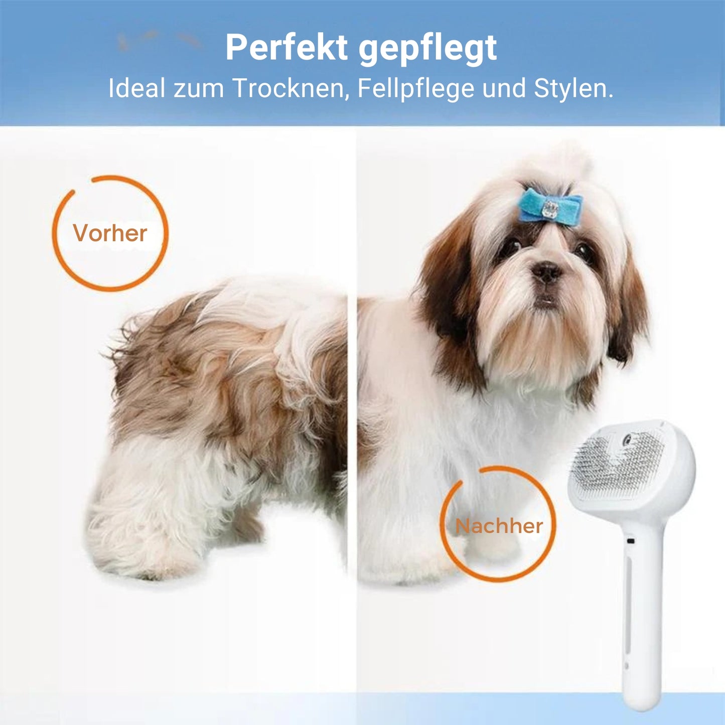 FellVital® | Für gesundes, gepflegtes Fell